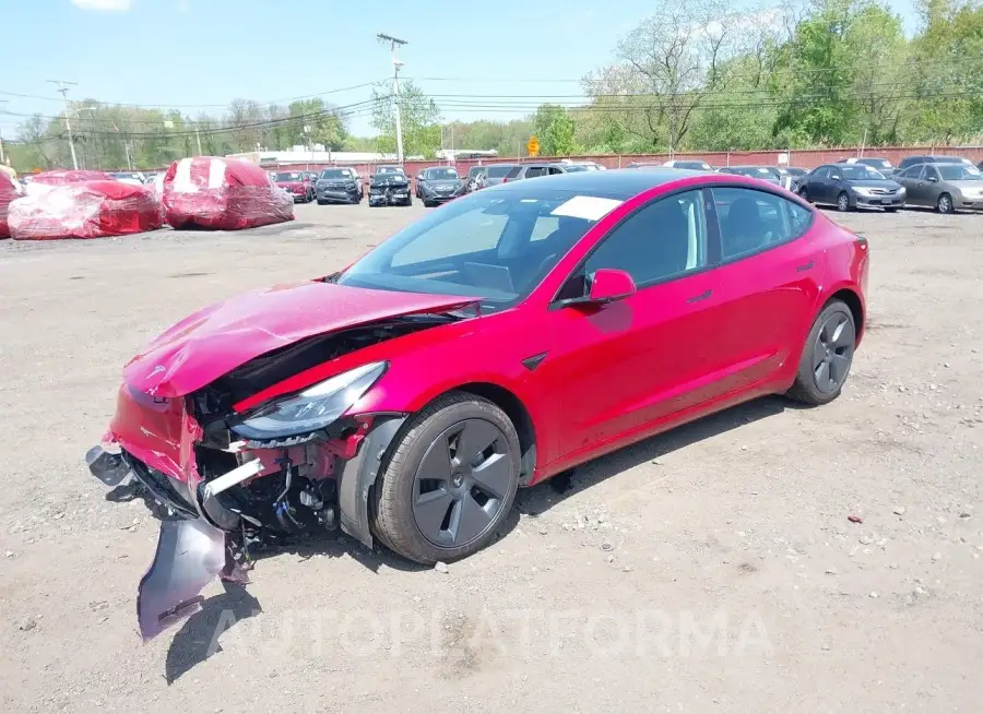 TESLA MODEL 3 2021 vin 5YJ3E1EB7MF055924 from auto auction Iaai