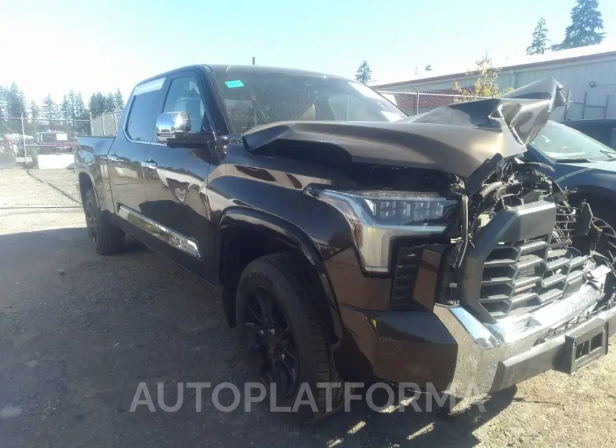 TOYOTA TUNDRA 2023 vin 5TFMA5EC8PX017046 from auto auction Iaai