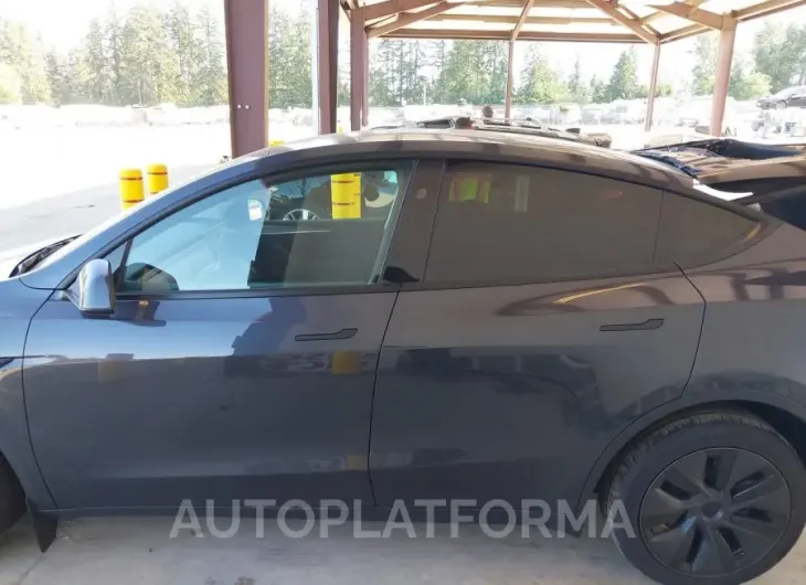 TESLA MODEL Y 2024 vin 7SAYGDEE4RF115566 from auto auction Iaai