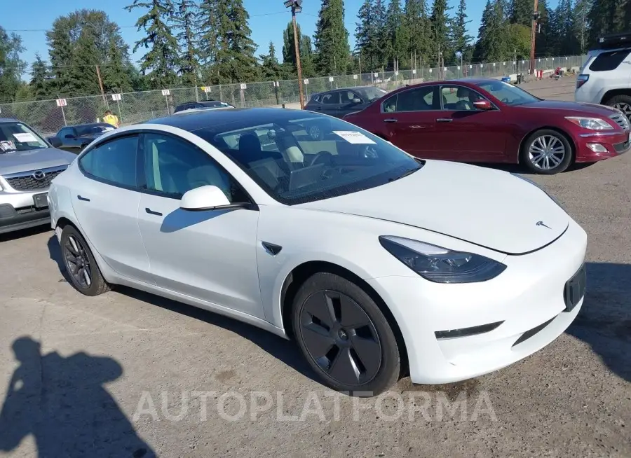 TESLA MODEL 3 2023 vin 5YJ3E1EA3PF515138 from auto auction Iaai