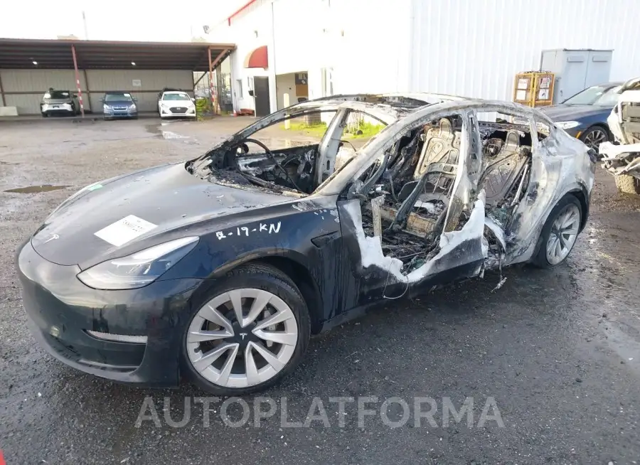 TESLA MODEL 3 2022 vin 5YJ3E1EA6NF303251 from auto auction Iaai