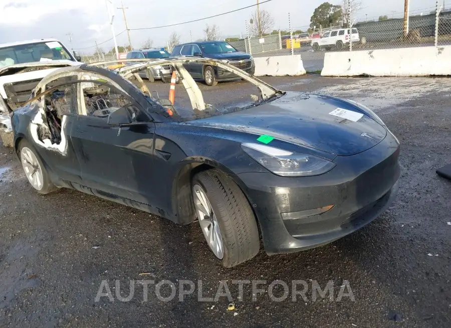 TESLA MODEL 3 2022 vin 5YJ3E1EA6NF303251 from auto auction Iaai