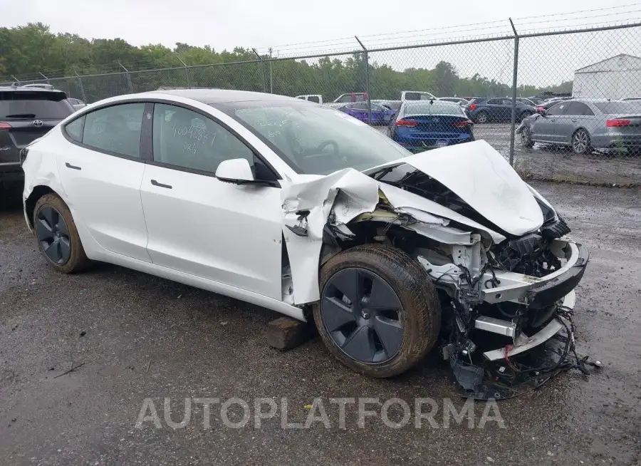 TESLA MODEL 3 2021 vin 5YJ3E1EB8MF019627 from auto auction Iaai