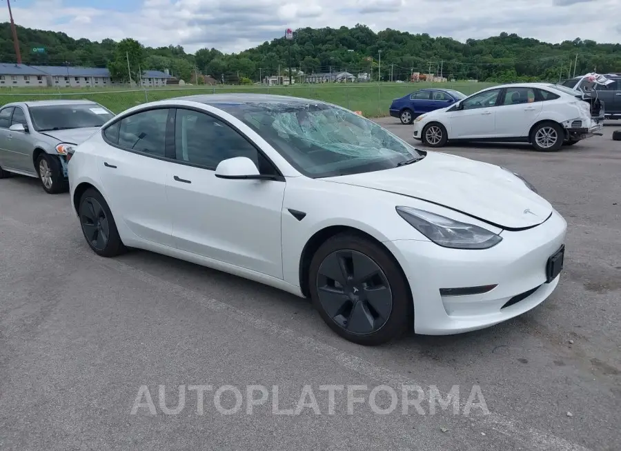 TESLA MODEL 3 2021 vin 5YJ3E1EAXMF976865 from auto auction Iaai