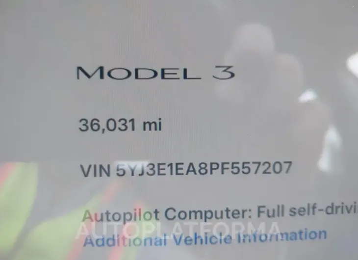 TESLA MODEL 3 2023 vin 5YJ3E1EA8PF557207 from auto auction Iaai