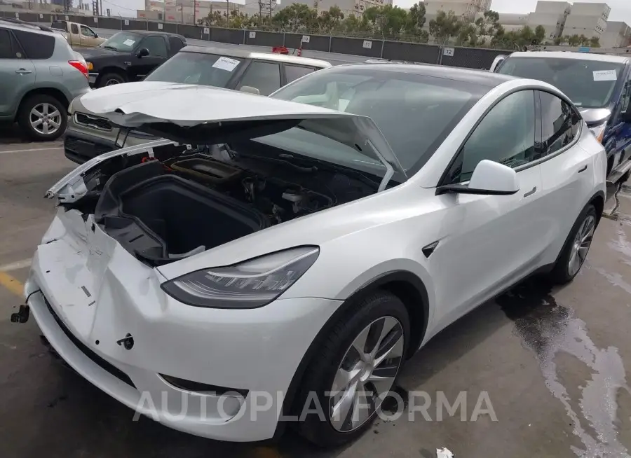 TESLA MODEL Y 2021 vin 5YJYGDEE6MF217795 from auto auction Iaai