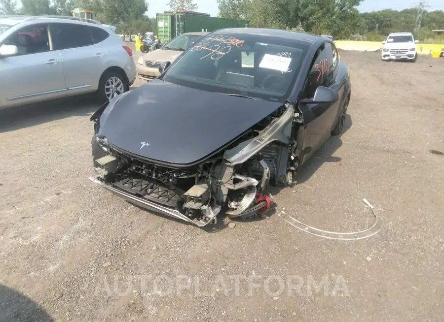 TESLA MODEL Y 2023 vin 7SAYGDEF1PF615142 from auto auction Iaai