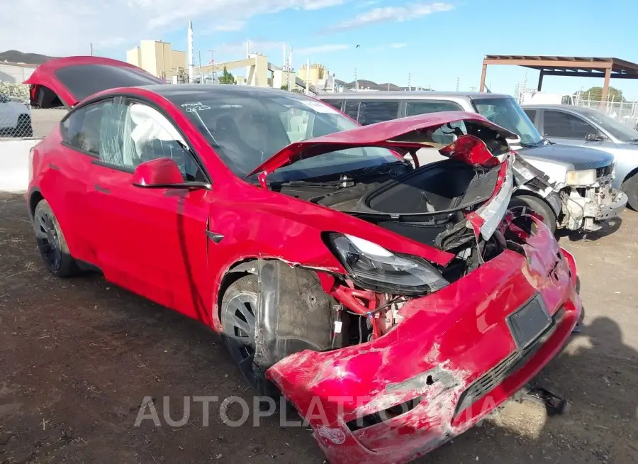 TESLA MODEL Y 2023 vin 7SAYGAEE9PF874211 from auto auction Iaai