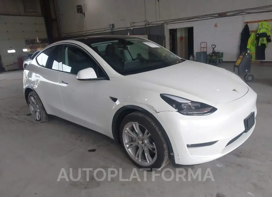 TESLA MODEL Y 2024 vin 7SAYGAEEXRF985739 from auto auction Iaai