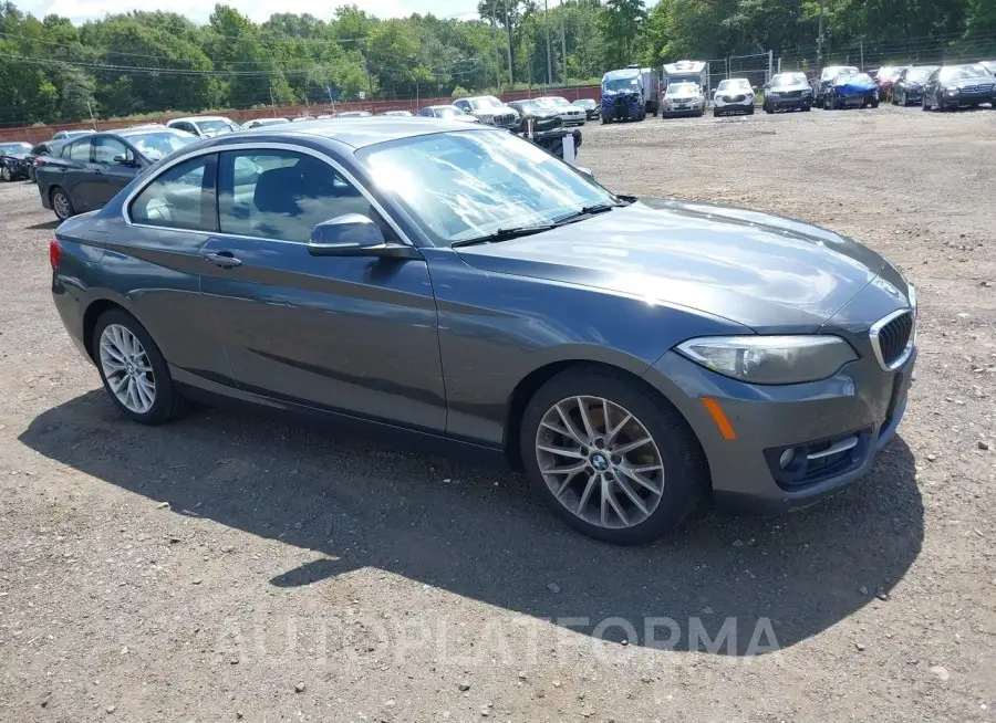 BMW 228I 2016 vin WBA1G9C54GV598972 from auto auction Iaai