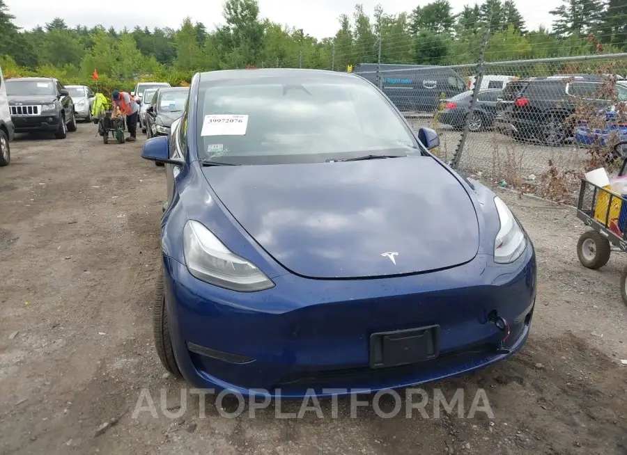 TESLA MODEL Y 2023 vin 7SAYGDEE2PF891160 from auto auction Iaai