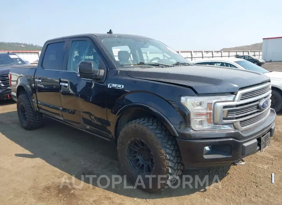 FORD F-150 2019 vin 1FTEW1EG7KFA81059 from auto auction Iaai