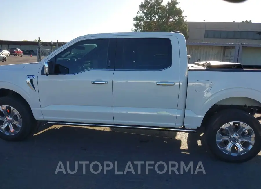 FORD F-150 2023 vin 1FTFW1E82PFA17631 from auto auction Iaai