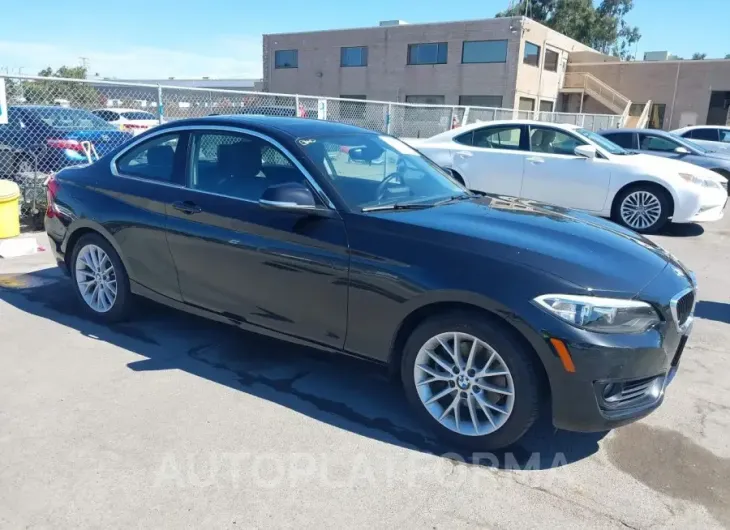 BMW 228I 2015 vin WBA1F9C59FV544052 from auto auction Iaai