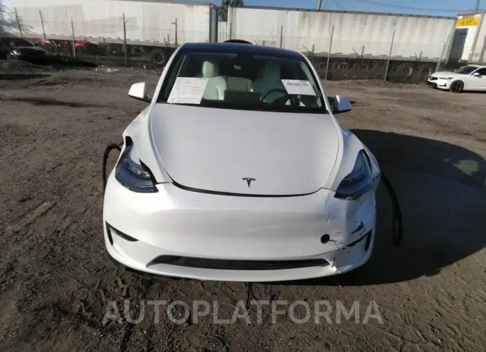 TESLA MODEL Y 2021 vin 5YJYGDEE9MF303439 from auto auction Iaai