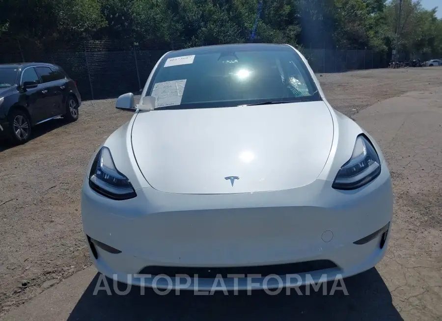 TESLA MODEL Y 2023 vin 7SAYGDEE1PF610711 from auto auction Iaai