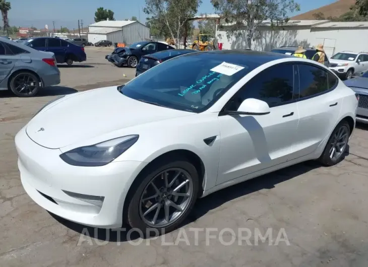 TESLA MODEL 3 2022 vin 5YJ3E1EA8NF135032 from auto auction Iaai