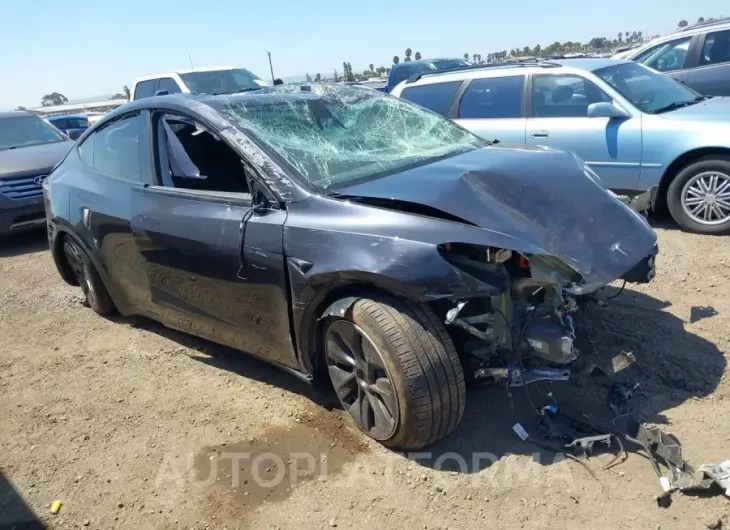 TESLA MODEL Y 2024 vin 7SAYGDEE8RA246903 from auto auction Iaai