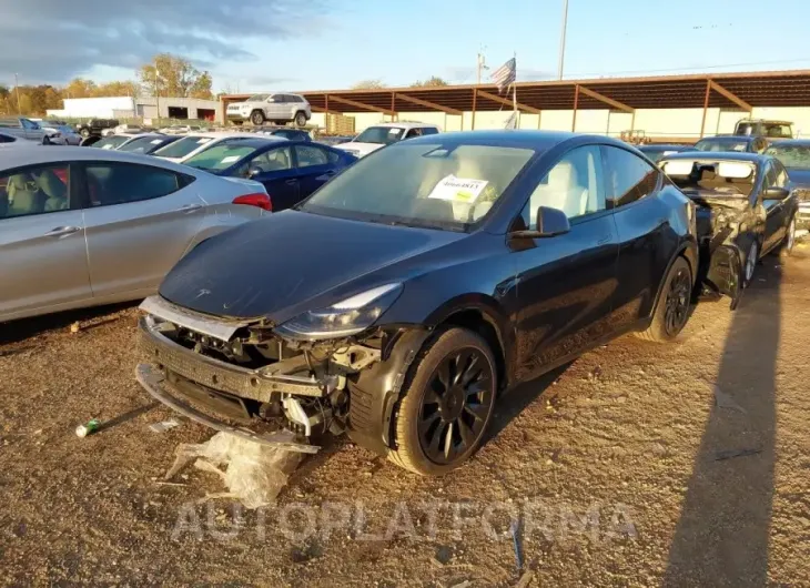 TESLA MODEL Y 2024 vin 7SAYGDED6RF105175 from auto auction Iaai