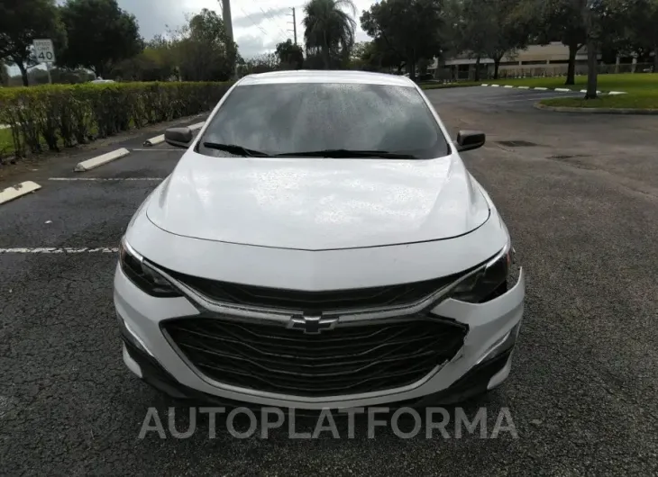 CHEVROLET MALIBU 2019 vin 1G1ZG5ST5KF206303 from auto auction Iaai